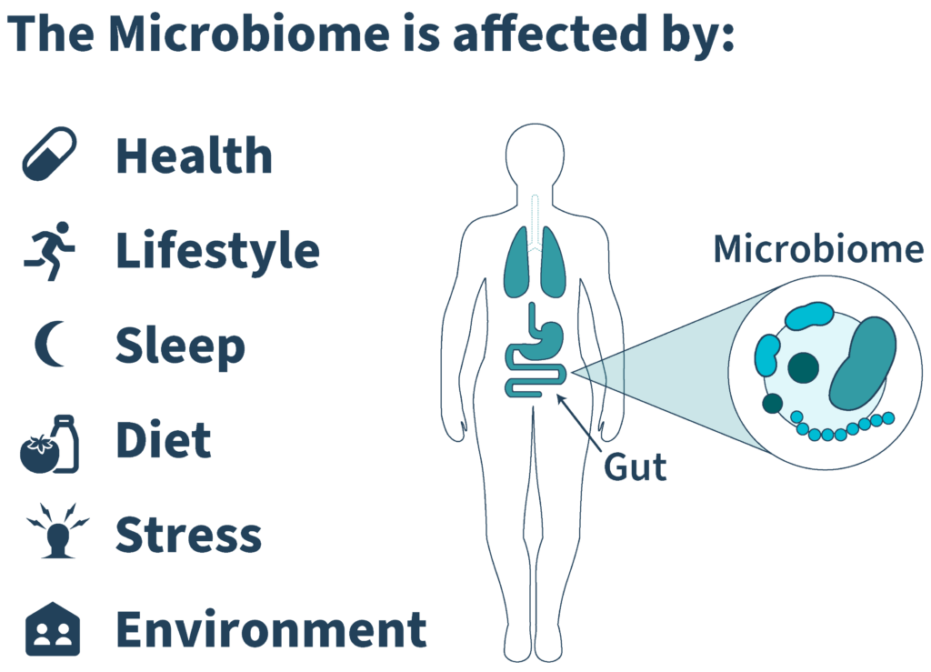 The microbiome is affected by health, lifestyle, sleep, diet, stress, and environment.